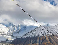 20 ft Prism Tube Tail for Kites - Prism Accessories Prism Kites