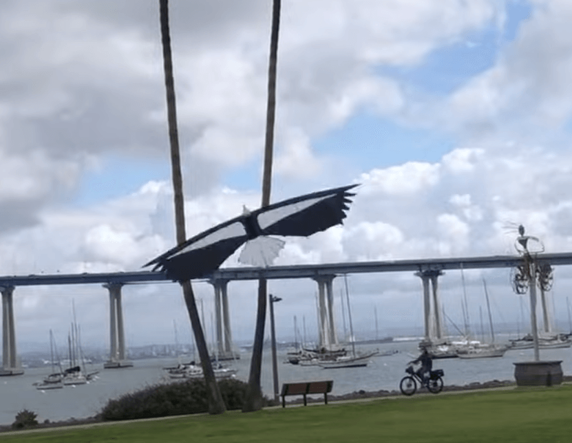 Condor Quad Line Kite Revolution Kite Great Canadian Kite Company