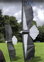 Condor Quad Line Kite - Revolution Kite Inter - Adv. Stunt Kites Revolution Kites