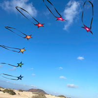 Brasington Southern Stars Single Line Kites Spider Kites