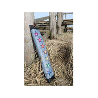 Brasington Southern Stars Single Line Kites Spider Kites