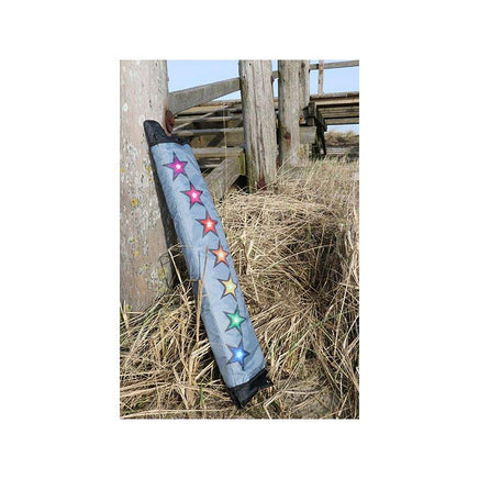 Brasington Southern Stars Single Line Kites Spider Kites