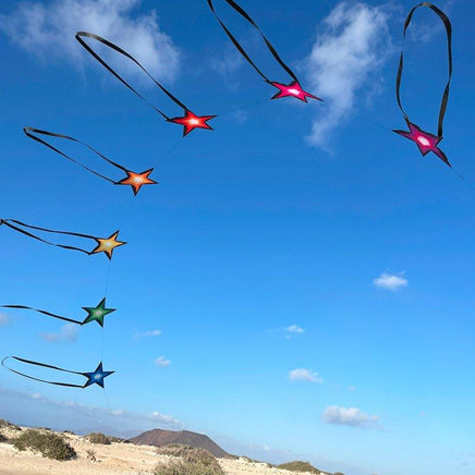 Brasington Southern Stars Single Line Kites Spider Kites