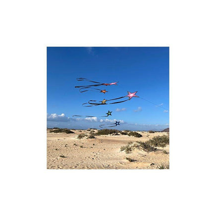 Brasington Southern Stars Single Line Kites Spider Kites