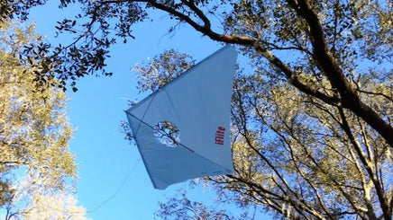 iFlite Glide Kite -Vented - Great Canadian Kite Company