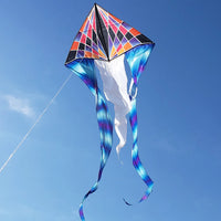 6.5 ft. Flo-Tail Delta Kite - Gradient Check by Premier Kites