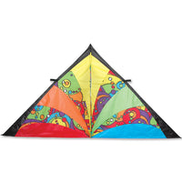 9 ft. Delta Kite - Rainbow Orbit Single Line Kites Premier Kites - Great Canadian Kite Company
