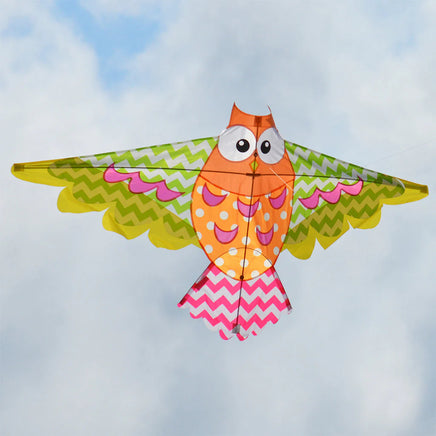 Rainbow Owl Kite by HQ Kites
