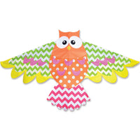 Rainbow Owl Kite by HQ Kites