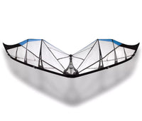 Synthesis Sport Kite by Prism Kites