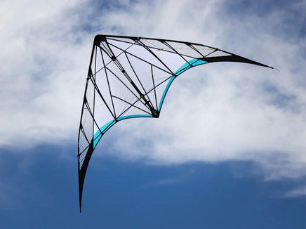 Synthesis Sport Kite - Great Canadian Kite Company