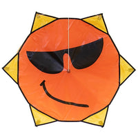 Smiley Kite Single Line Kites Flying Wing Kites - Great Canadian Kite Company