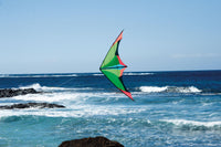 Janus - Sport Kite (Orange) Inter - Adv. Stunt Kites Spider Kites - Great Canadian Kite Company
