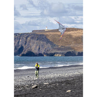Quantum 2.0 Sport Kite - Mylar Special Edition Beginner Stunt Kite Prism Kites - Great Canadian Kite Company