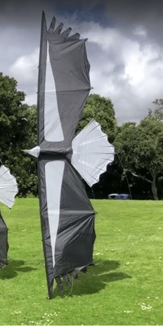 Condor Quad Line Kite - Revolution Kite