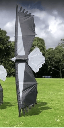 Condor Quad Line Kite - Revolution Kite Inter - Adv. Stunt Kites Revolution Kites - Great Canadian Kite Company