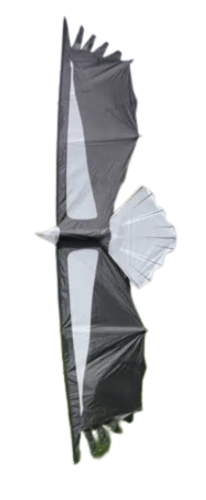 Condor Quad Line Kite - Revolution Kite Inter - Adv. Stunt Kites Revolution Kites - Great Canadian Kite Company