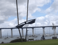 Condor Quad Line Kite - Revolution Kite Inter - Adv. Stunt Kites Revolution Kites - Great Canadian Kite Company