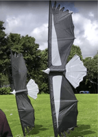 Condor Quad Line Kite - Revolution Kite Inter - Adv. Stunt Kites Revolution Kites - Great Canadian Kite Company