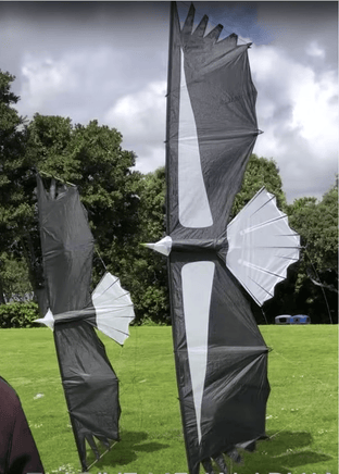 Condor Quad Line Kite - Revolution Kite Inter - Adv. Stunt Kites Revolution Kites - Great Canadian Kite Company