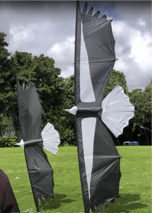 Condor Quad Line Kite - Revolution Kite - Great Canadian Kite Company