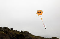 Smiley Kite Single Line Kites Flying Wing Kites - Great Canadian Kite Company