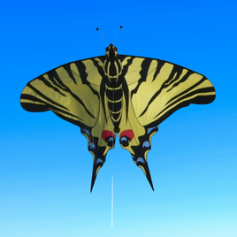 Carsten Domann Butterfly by Great Canadian Kite Company