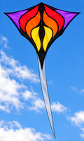 Brasington's "Between the lines" Single Kite by Spider Kites