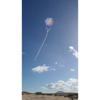 Alicja's Lotus Kite - Blue by Spider Kites