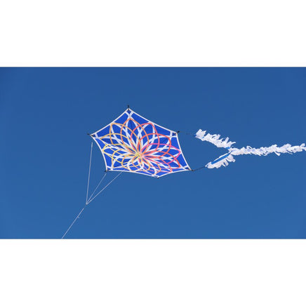 Alicja's Lotus Kite - Blue by Spider Kites