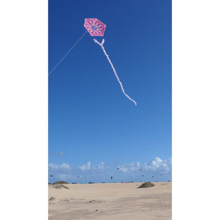 Alicja's Lotus Kite - Pink by Spider Kites