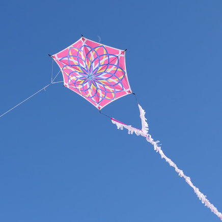 Alicja's Lotus Kite - Pink by Spider Kites