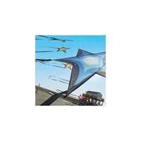 Brasington Southern Stars Single Line Kites Spider Kites - Great Canadian Kite Company