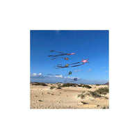 Brasington Southern Stars Single Line Kites Spider Kites - Great Canadian Kite Company