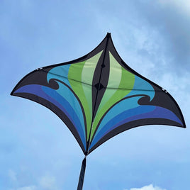 Brasington Swift Delta Kite (Blue/Green) by Spider Kites