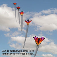 Brasington's "Between the lines" Single Kite by Spider Kites