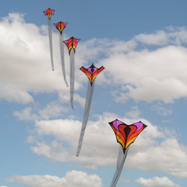 Brasington's "Between the lines" Single Kite Single Line Kites Spider Kites