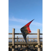 Buddy 2025 Intro Sport Kite