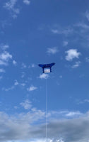 Cody Kite - GCKC Single Line Kites Great Canadian Kite Company - Great Canadian Kite Company