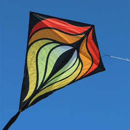 Designer Diamond Brasington Diamond Kite Single Line Kites Spider Kites
