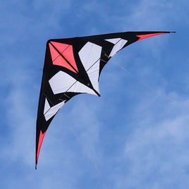 Maraca Light Sport Kite by Spider Kites