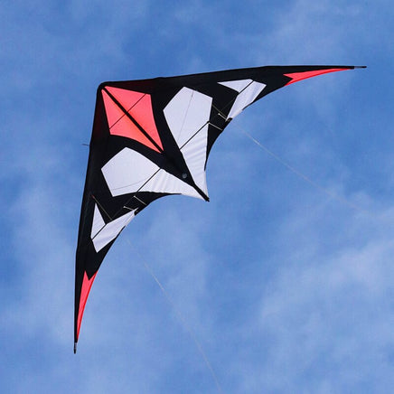 Maraca Light Sport Kite by Spider Kites