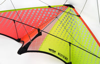 Neutrino Sport Kite Beginner Stunt Kite Prism Kites - Great Canadian Kite Company