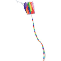 Para -Kite 2 Single Line Kites Bold Innovations - Great Canadian Kite Company