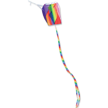 Para -Kite 2 Single Line Kites Bold Innovations - Great Canadian Kite Company