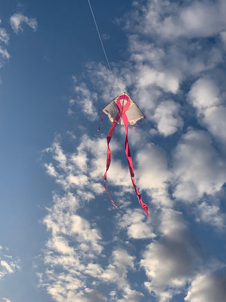Pink Ribbon Large Easy Flyer Single Line Kites Premier Kites - Great Canadian Kite Company
