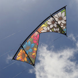 Shiva Core - Graphitti Quadline Kite by Spider Kites