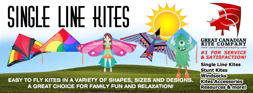 Kites for sale in Gold River, British Columbia