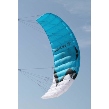 Wasabi 2.4 Performance Parafoil Kite Inter - Adv. Stunt Kites Spider Kites