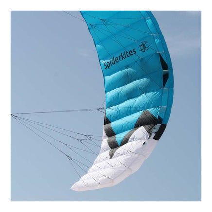 Wasabi 2.4 Performance Parafoil Kite Inter - Adv. Stunt Kites Spider Kites